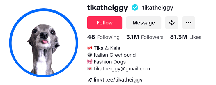 Tika stares at the camera with her slender neck and chin sticking up as she sticks her tongue out