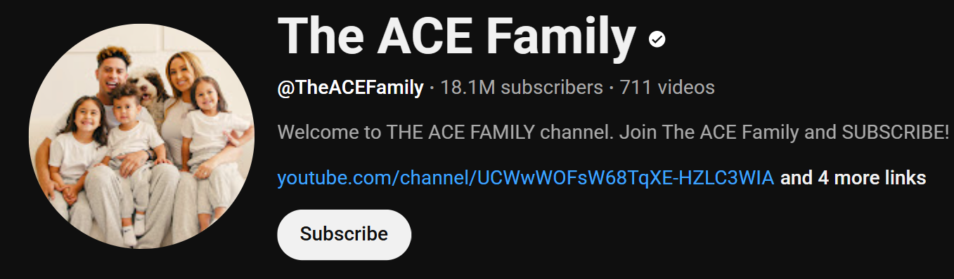 The Ace Family youtube