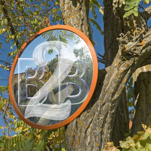 The B2B Influencer Blind Spot No One’s Talking About